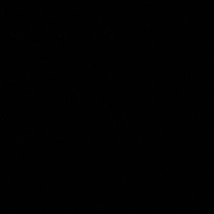 Meet your Posher, Summer